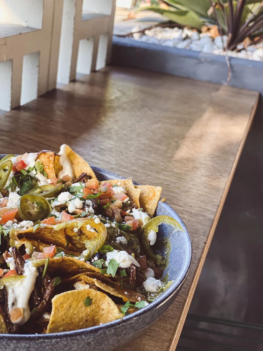 Highlights, Agave Rosa | Restaurant & Taqueria