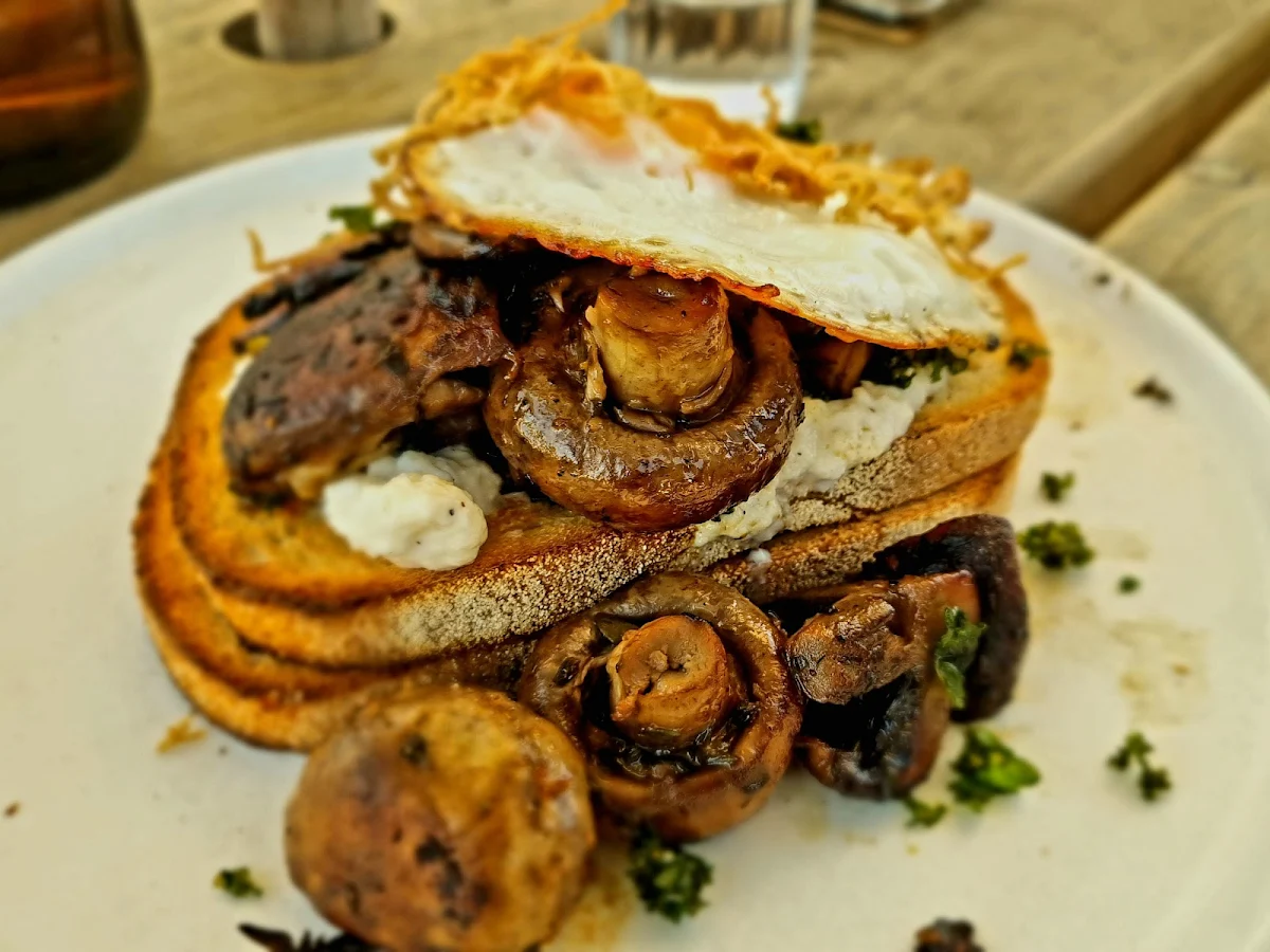 Braised Mushrooms, Buckley Sorrento