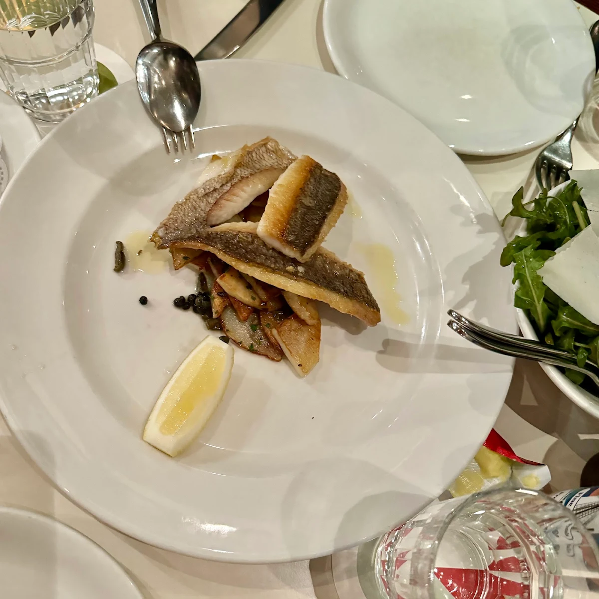Snapper, Lupino