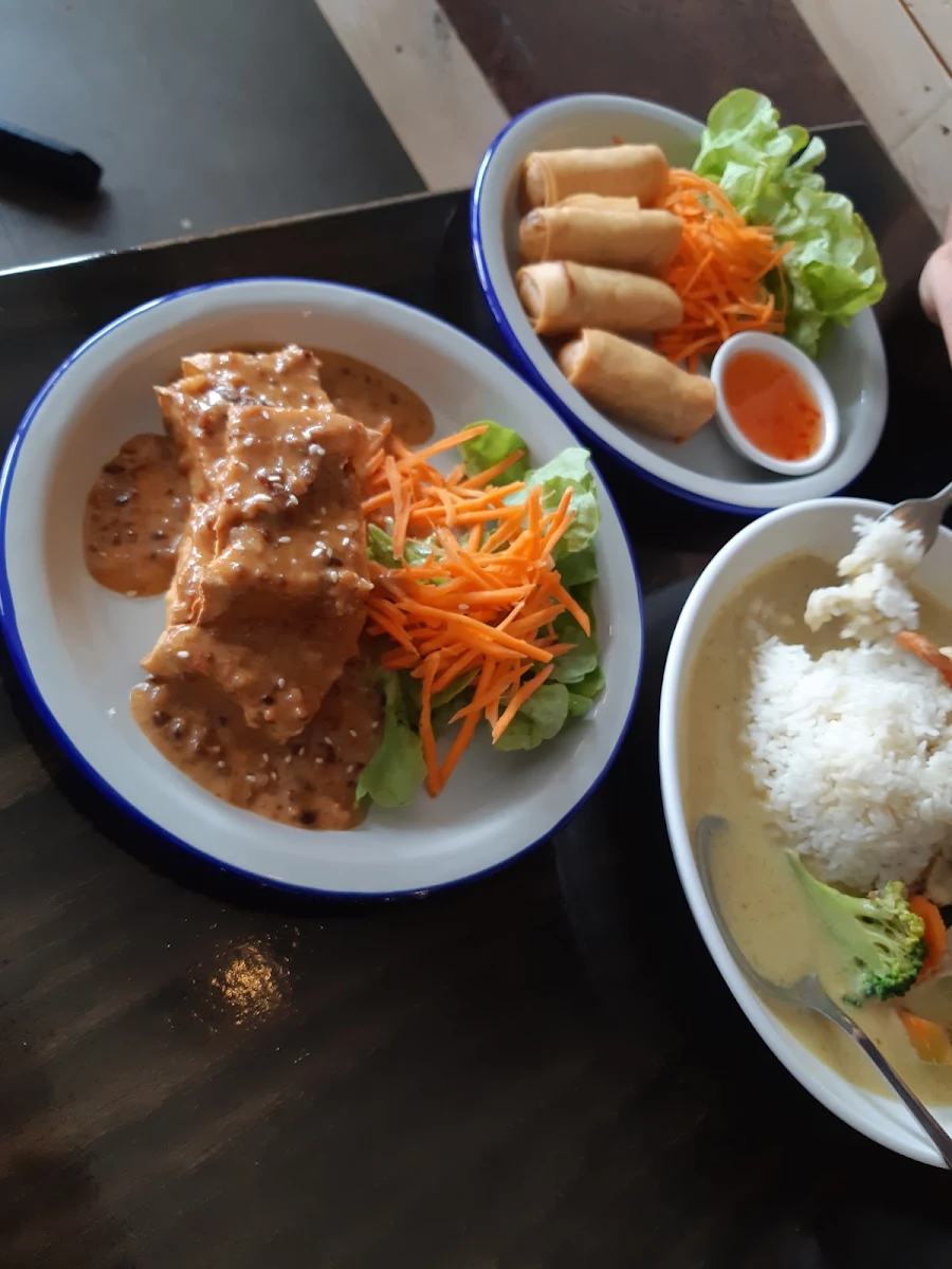 Spring Rolls, Tin Thai Restaurant
