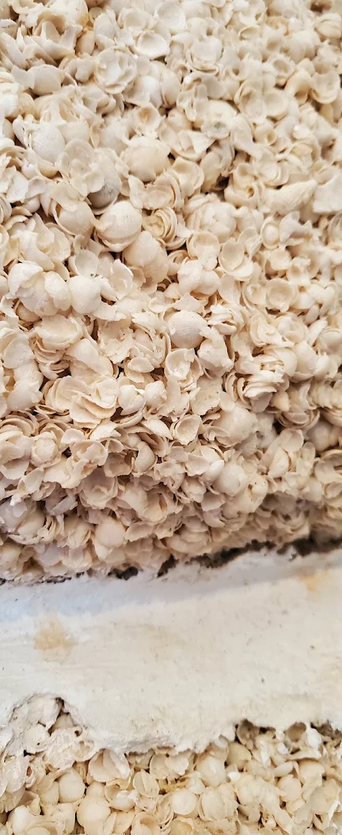 Shells, The Old Pearler Restaurant