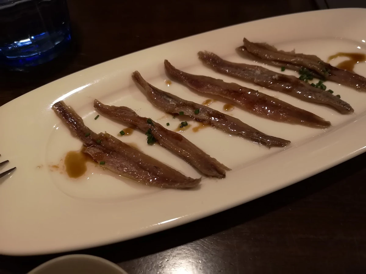 Anchoa