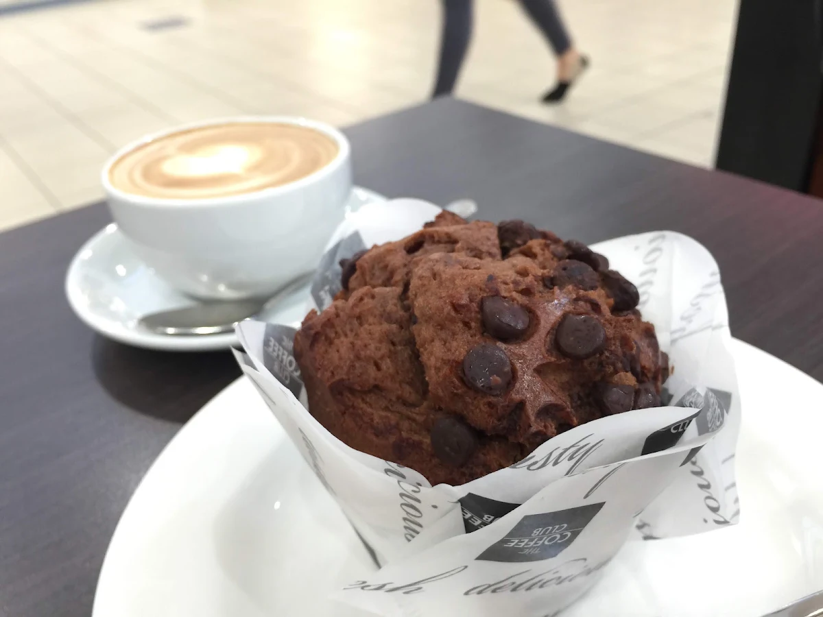 Double Chocolate Chip Muffin