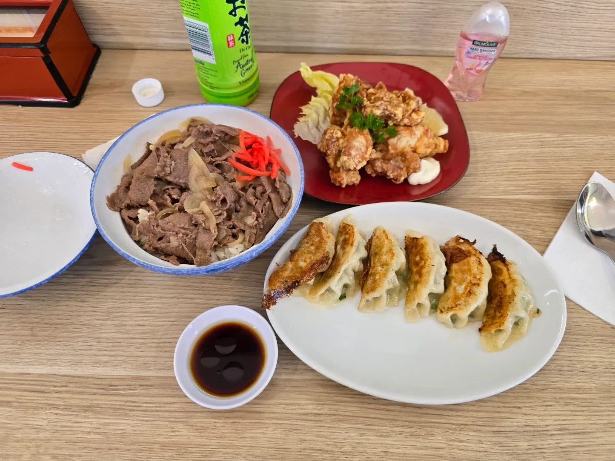 Gyoza and Karaage