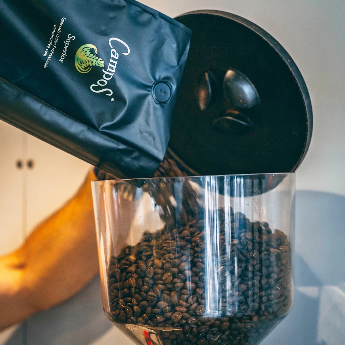 Highlights, Bean Roasted Espresso Bar