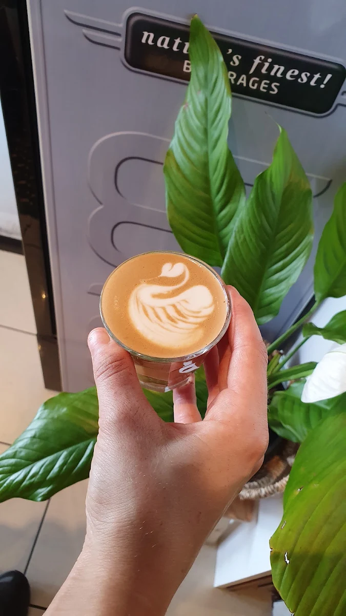 Piccolo, Bean Roasted Espresso Bar