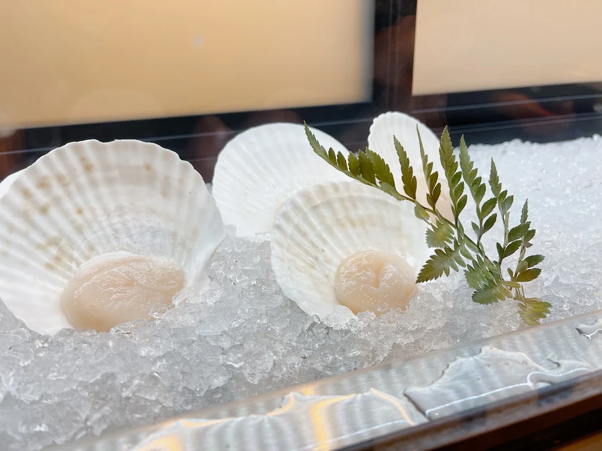 Scallop in Shell