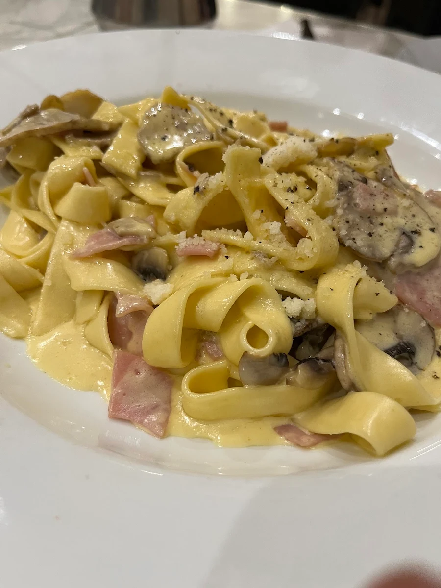 Fettuccine Boscaiola, Cafe Gioia Leichhardt