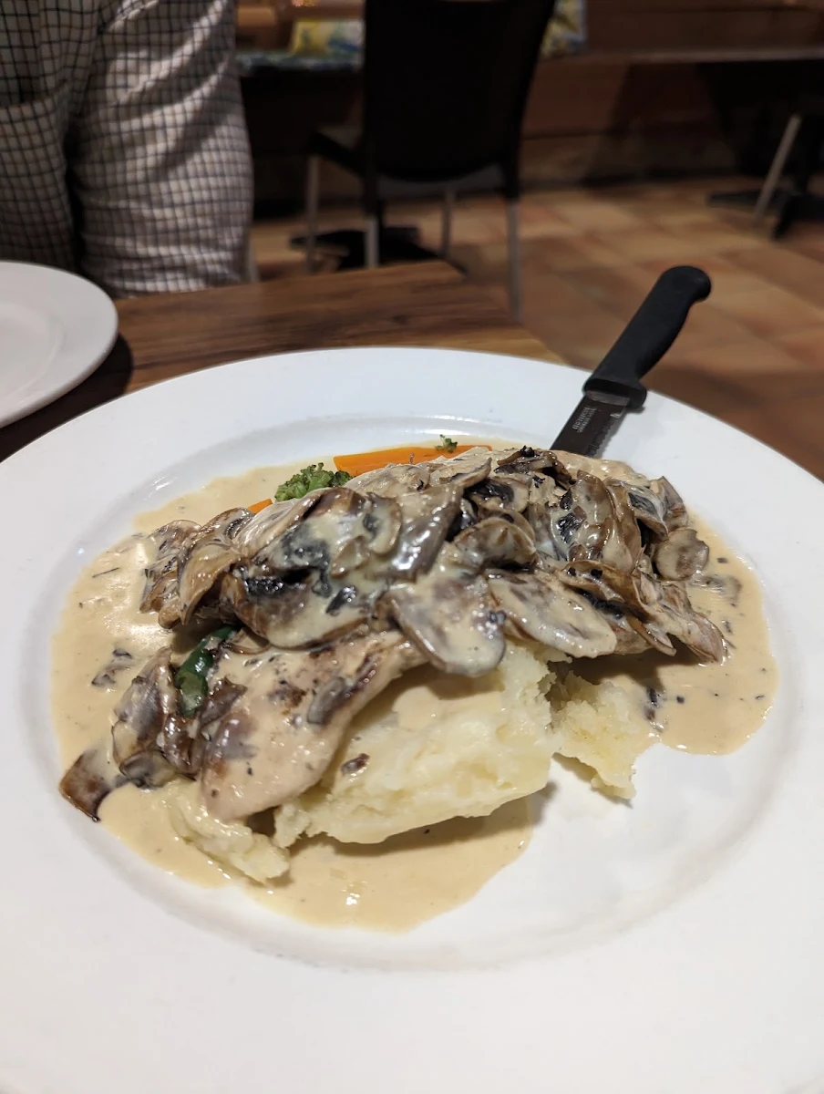 Pollo Funghi, Cafe Gioia Leichhardt