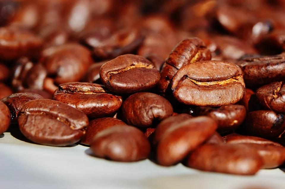 Highlights, Neutral Bay Coffee Roasters