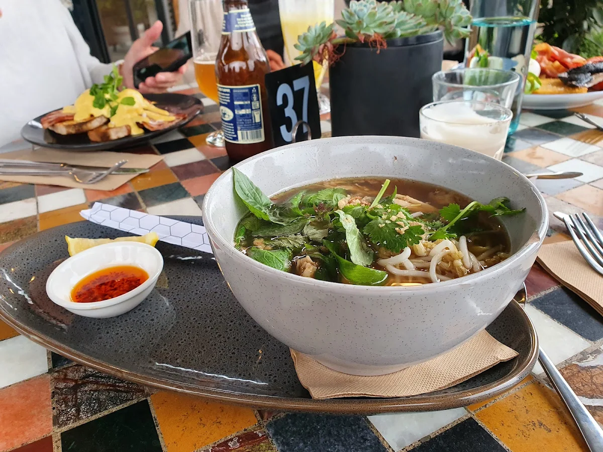 Chicken Noodle Soup
