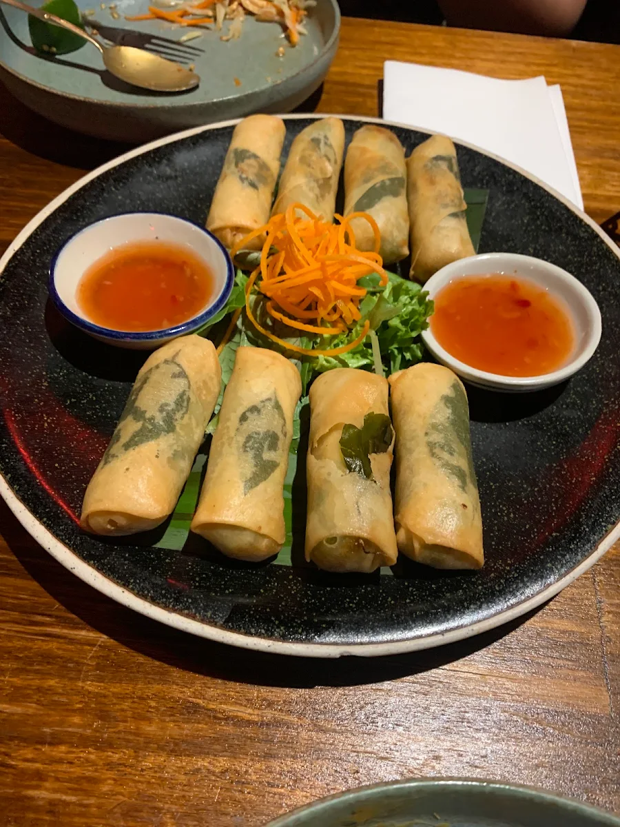 Spring Rolls, Mango Tree Thai Mount Waverley
