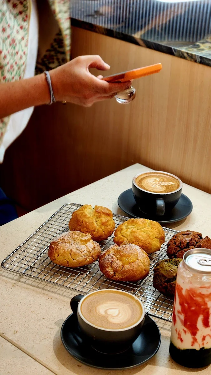 Highlights, Will & Co Chatswood