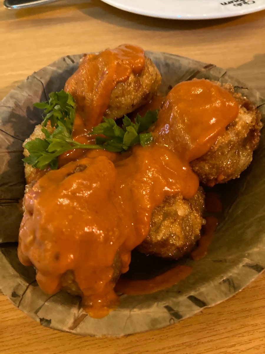 Fried Dumplings