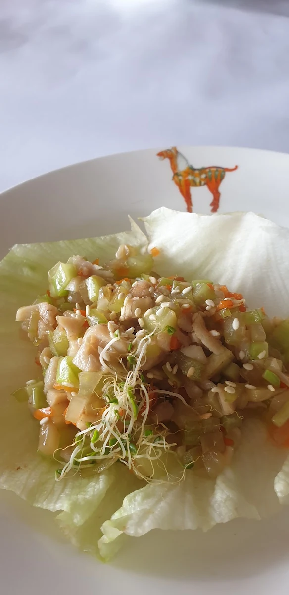 Chicken San Chow Bow