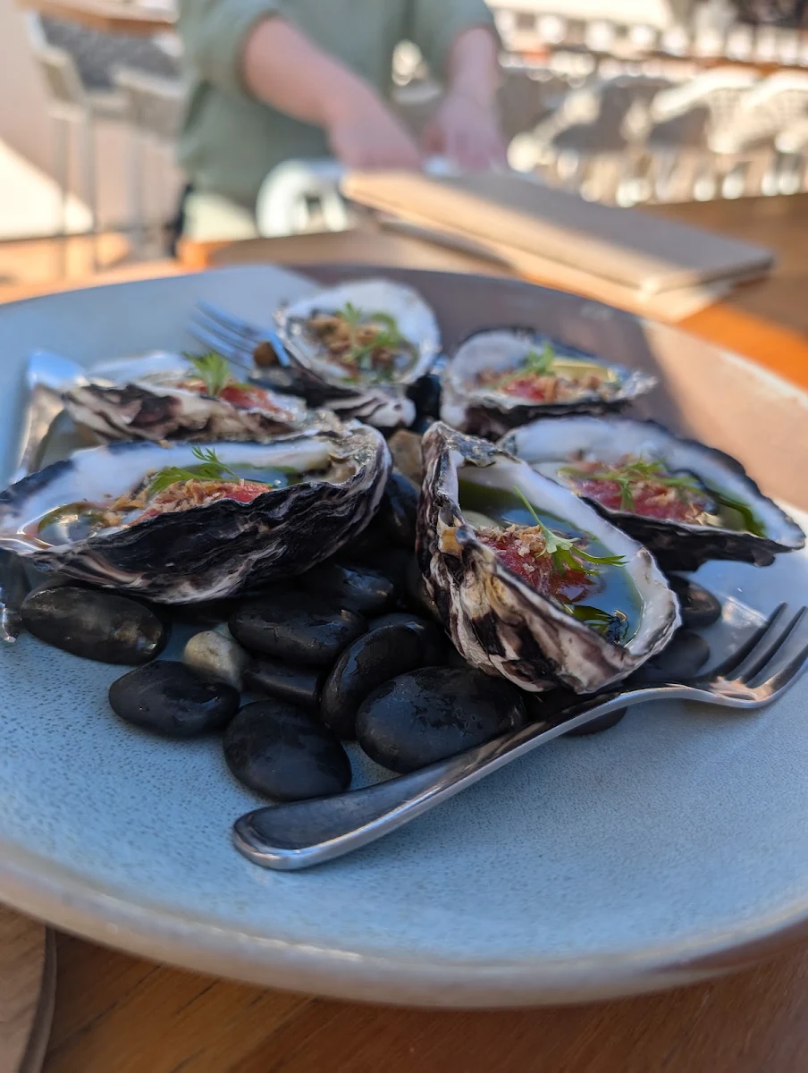 House Shucked Oyster - Cashew Nut Green