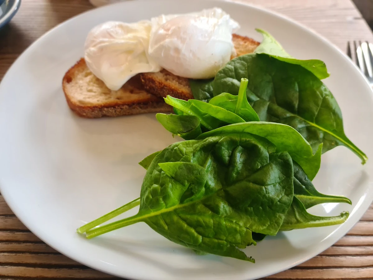 Poached Eggs