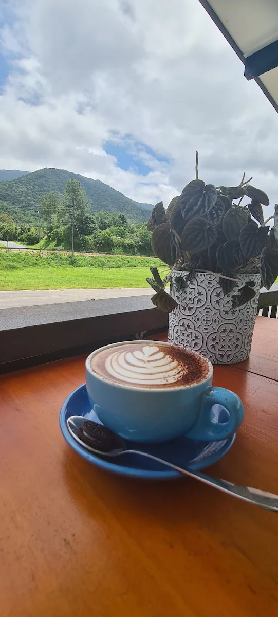 Highlights, Sharbella Espresso