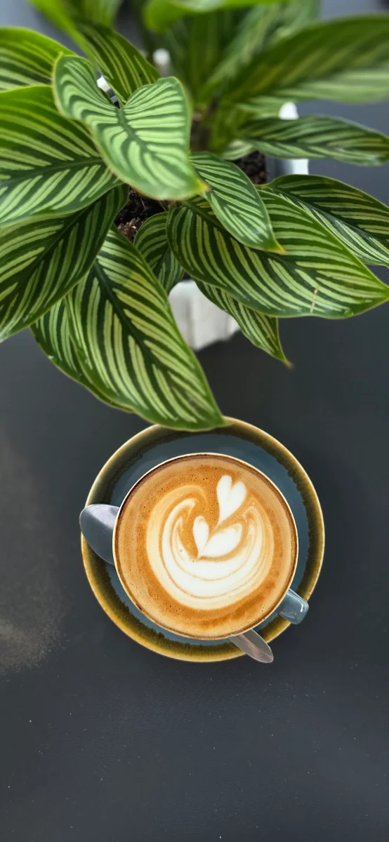 Highlights, Sharbella Espresso
