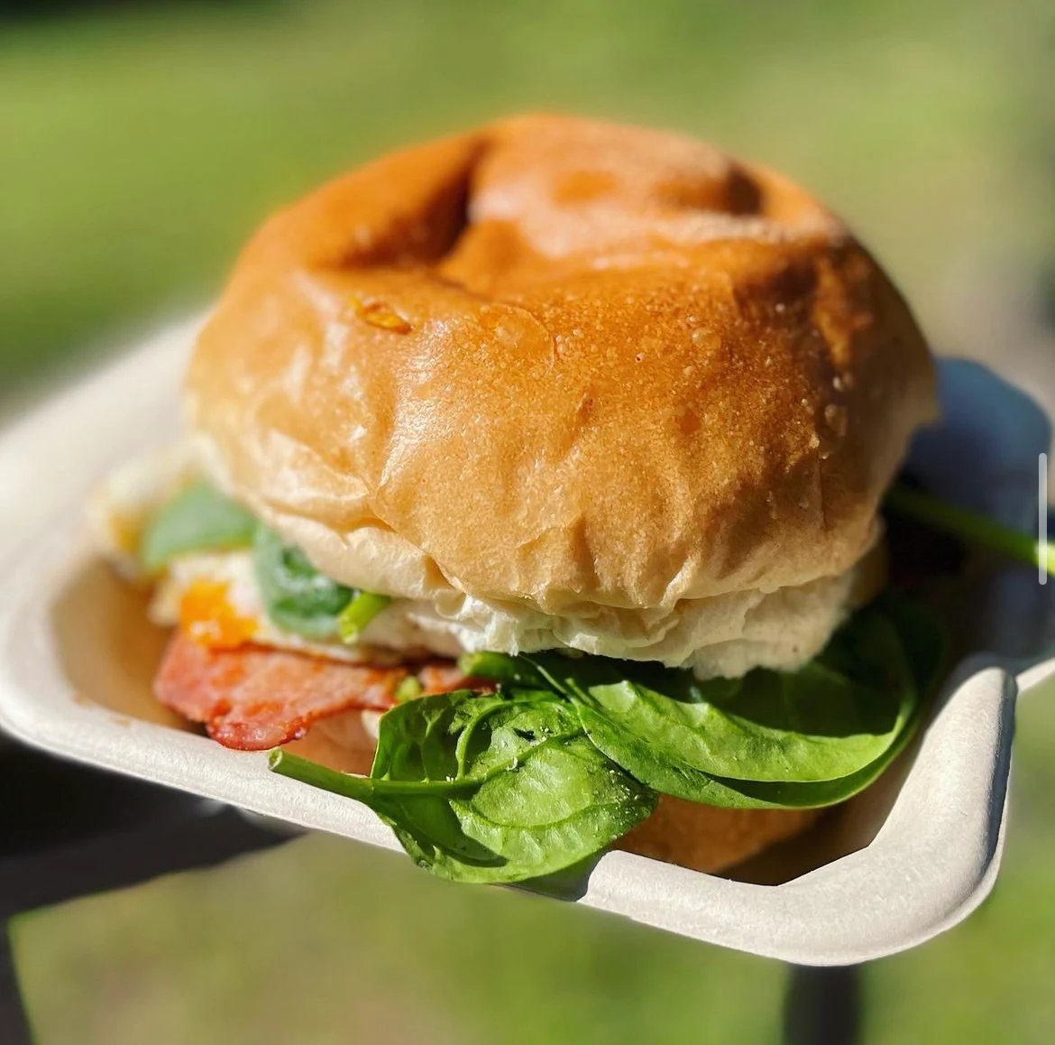 Highlight 7