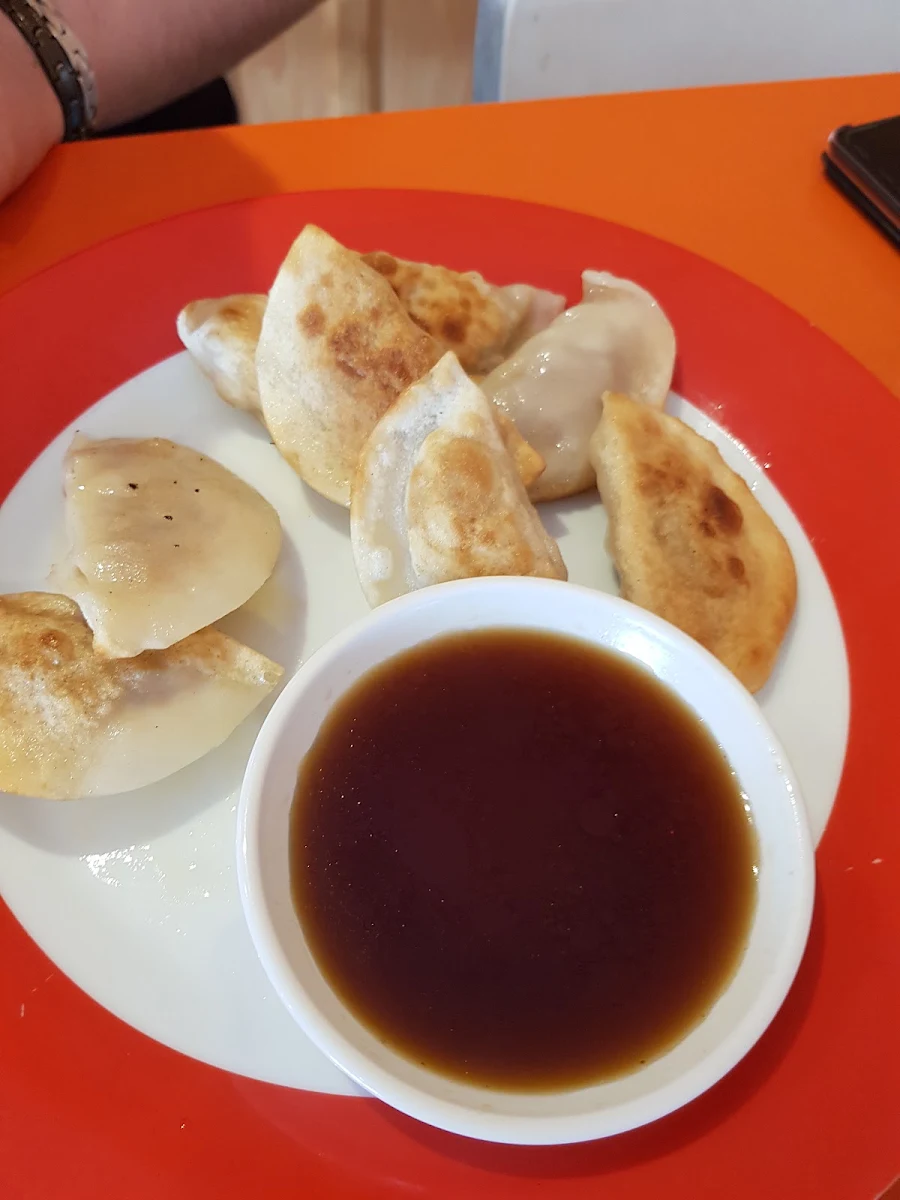Homemade Pork Dumplings
