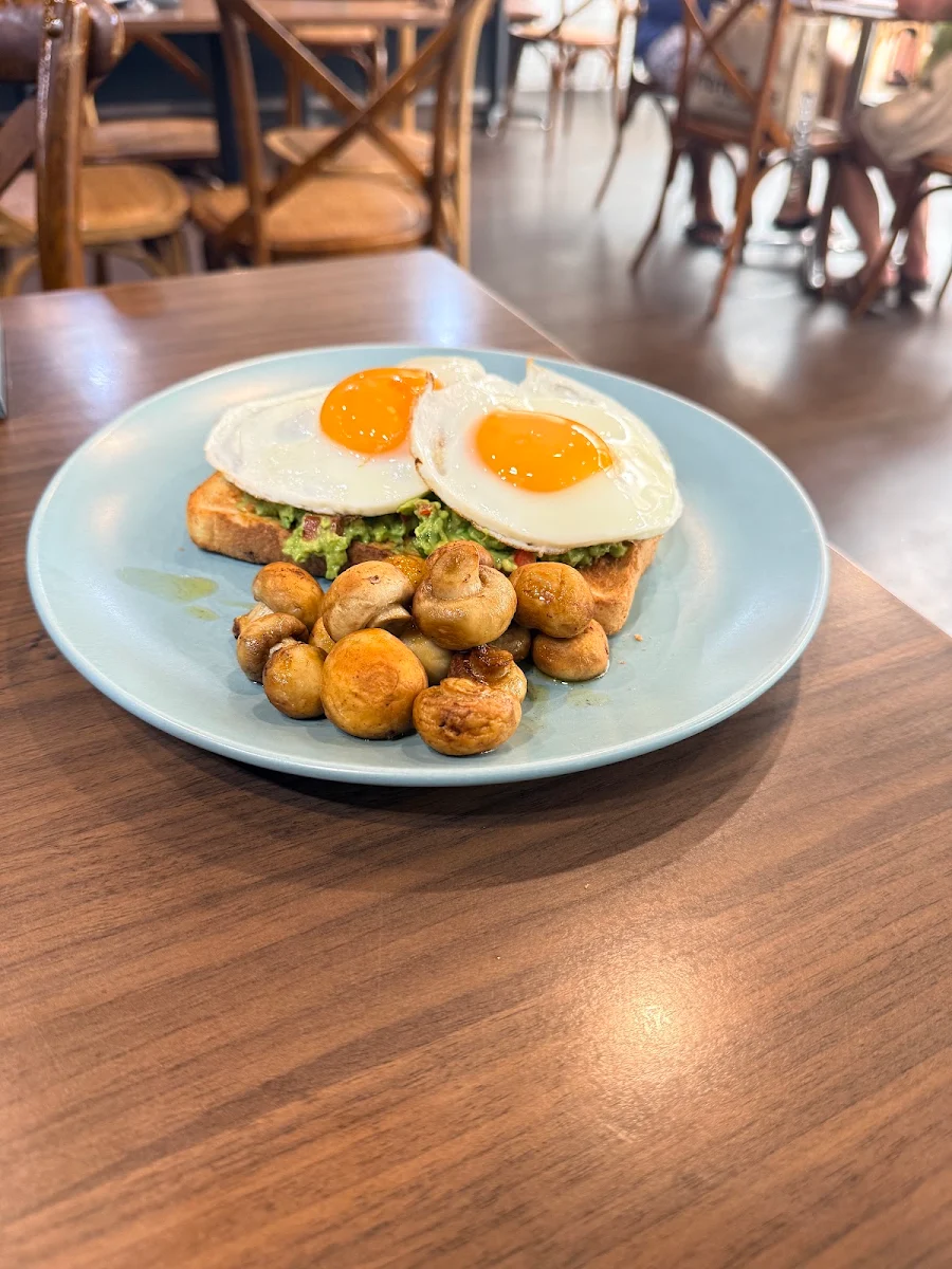 Highlights, Kafe 258