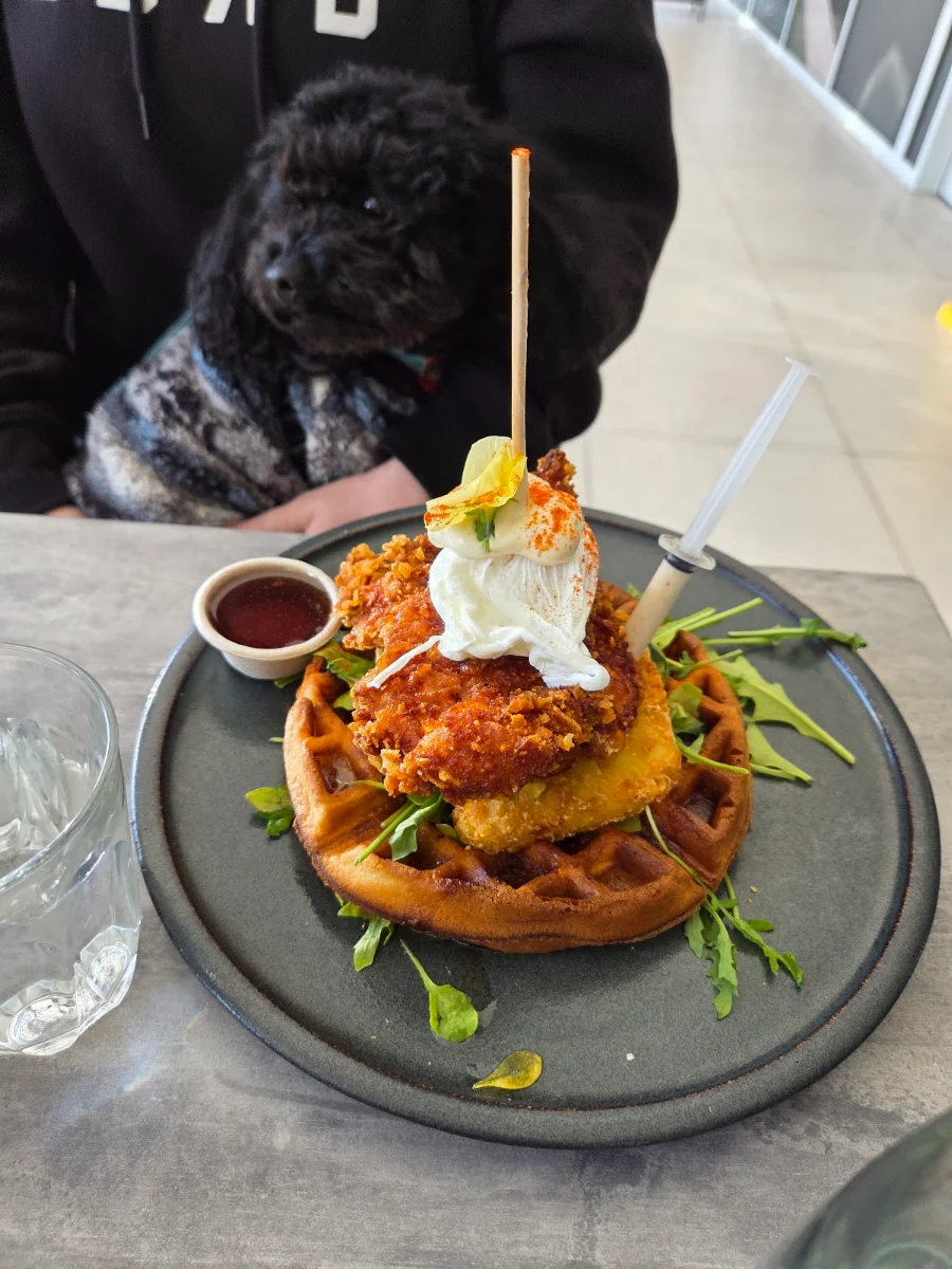 Highlights, Andonis Cafe & Bar, Mount Gravatt (Logan Rd)