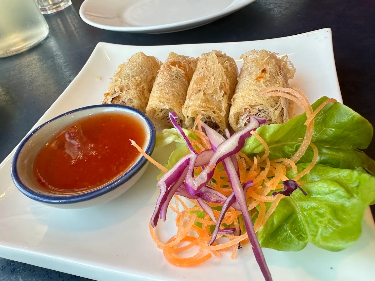 Vegetable Spring Rolls, Thai Noodle House
