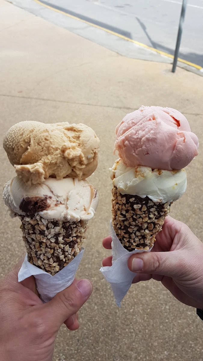 Highlights, Nordenfine Ice Cream Company