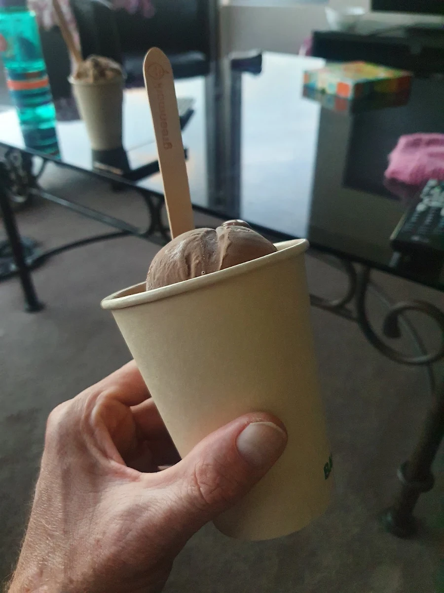 Highlights, Nordenfine Ice Cream Company