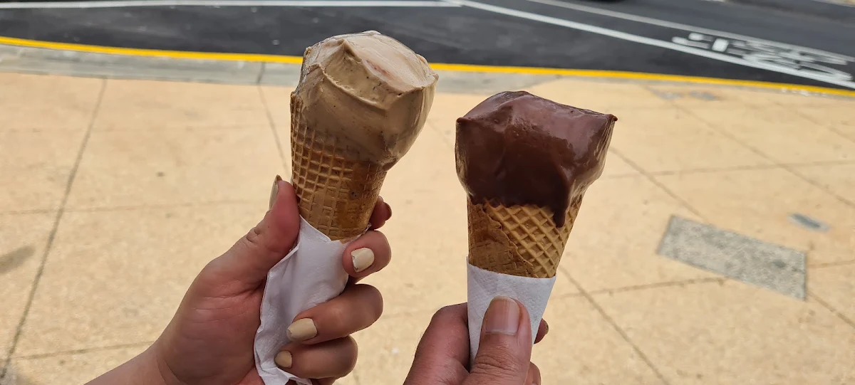 Highlights, Nordenfine Ice Cream Company