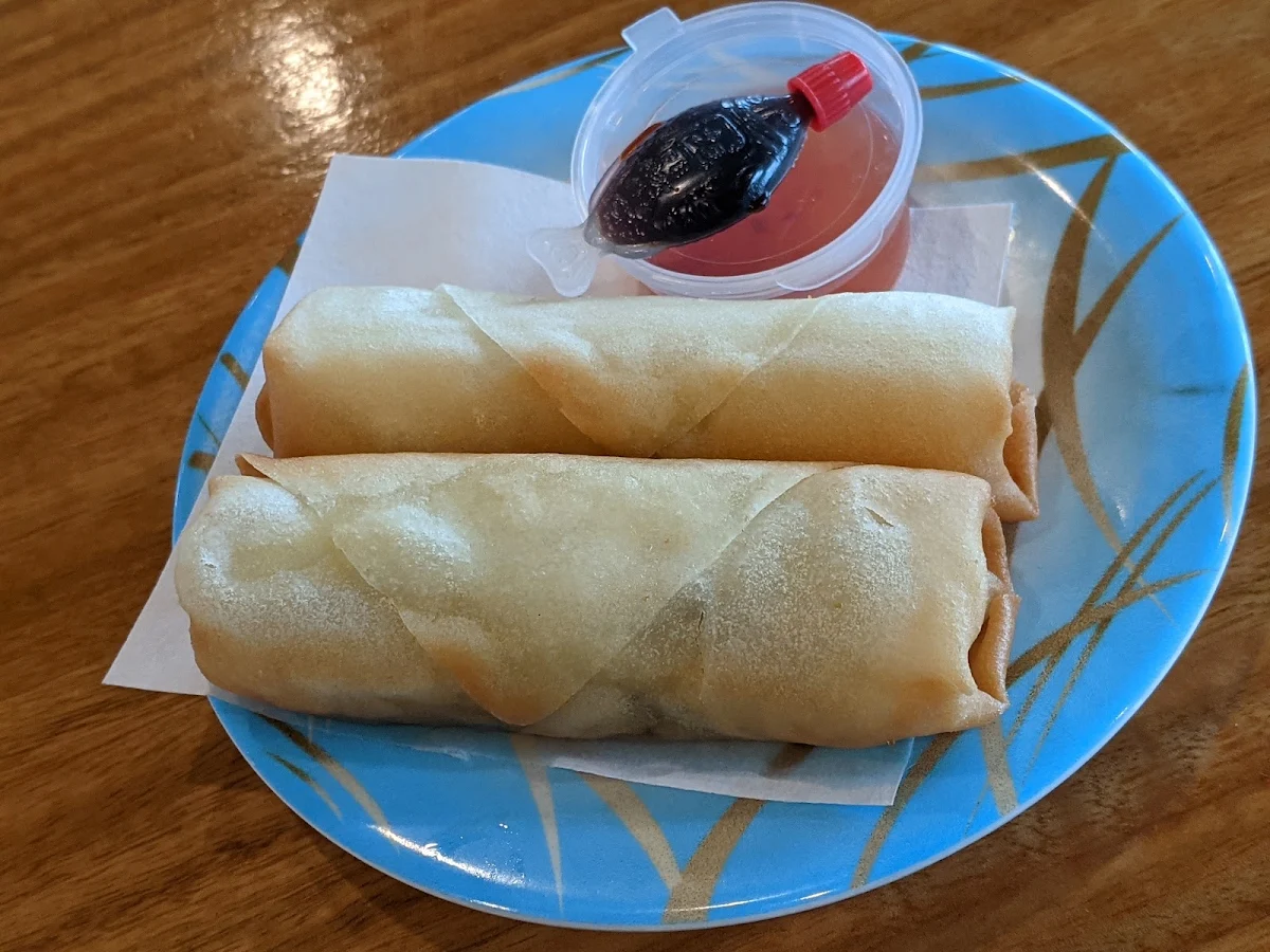 Veg Spring Roll, Brown Rice Noosa Civic