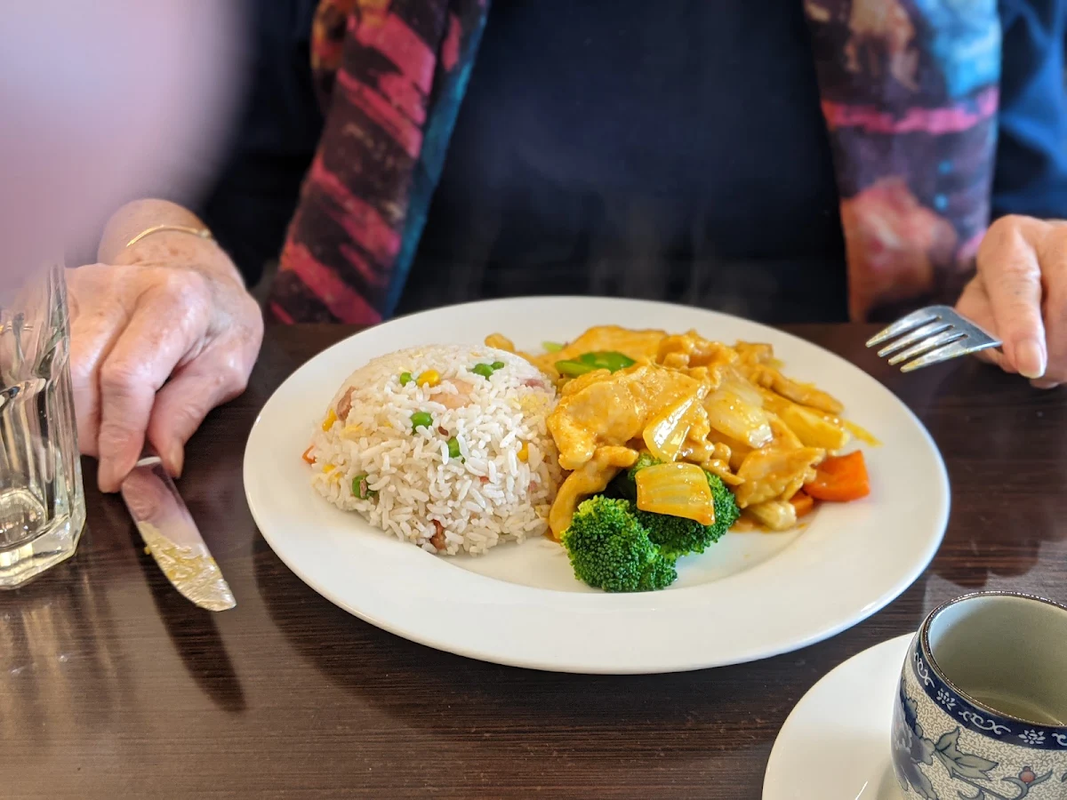 Curry Chicken with Fried Rice