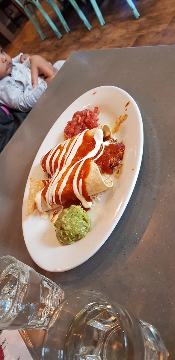 Grilled Chicken Enchilada