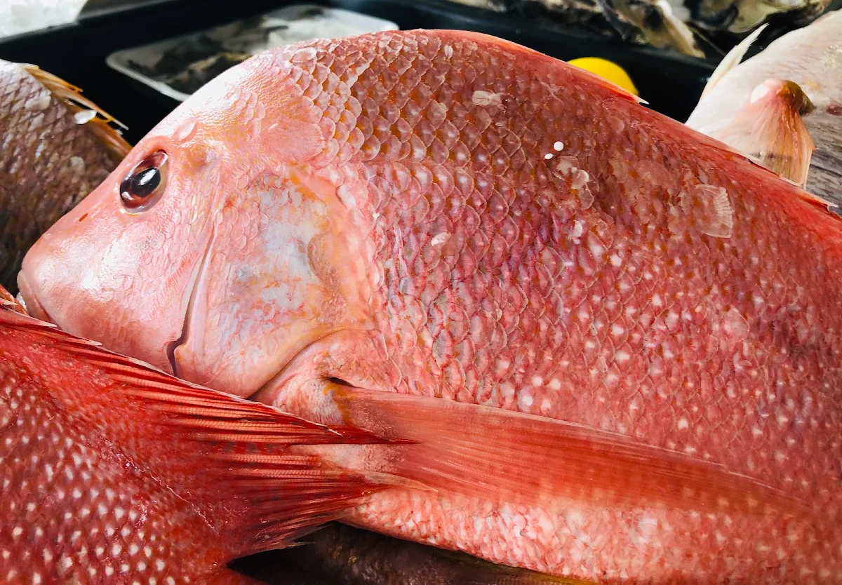 Highlights, Fish Art - Fresh and Cooked Seafood