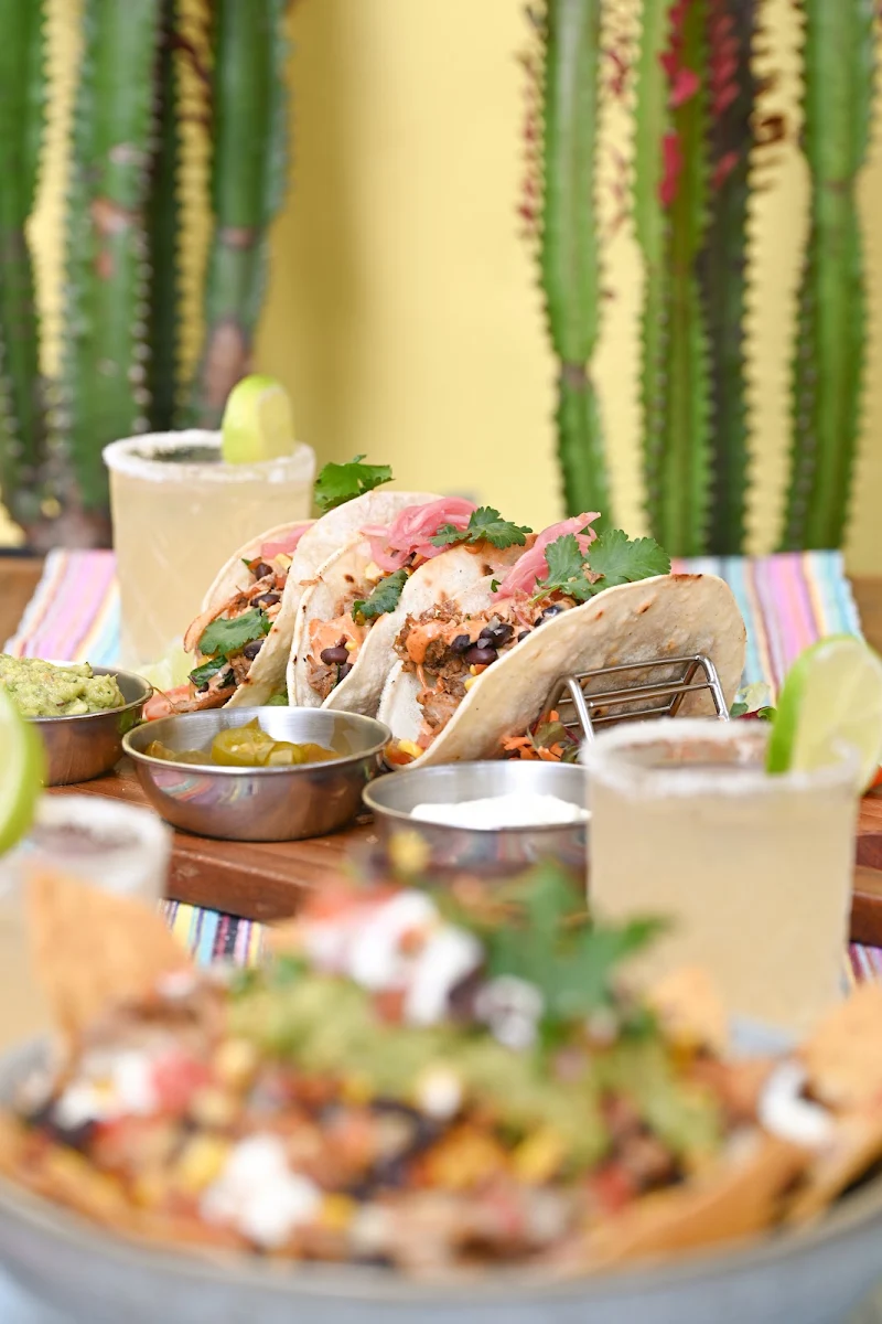 Highlights, Coyote's Cantina