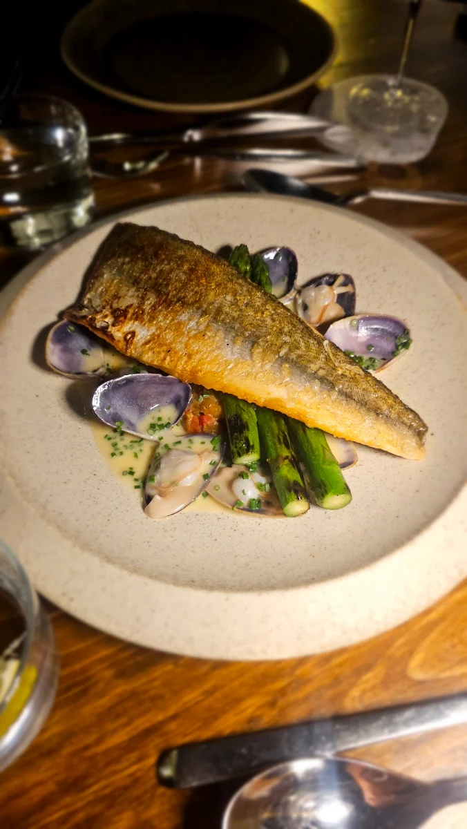 Snapper, Doju
