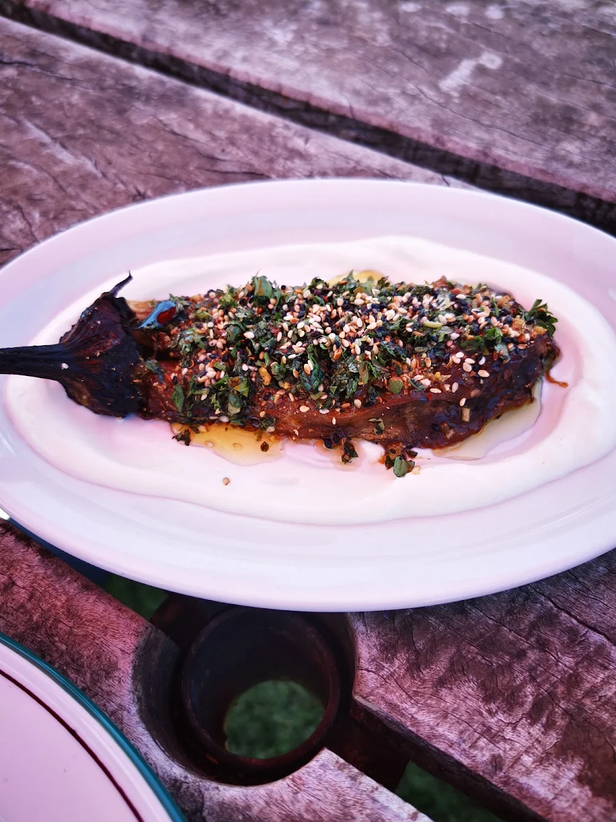 Eggplant
