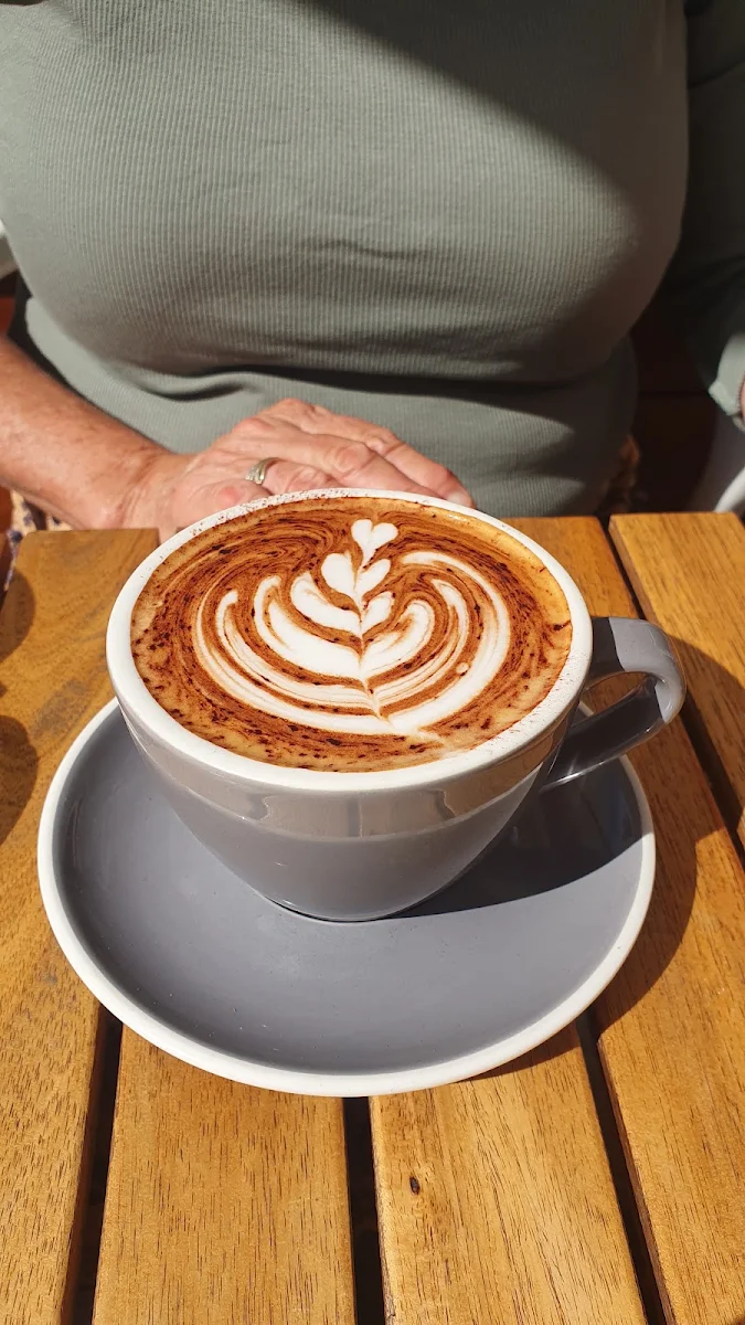 Highlights, Cocoa Cartel
