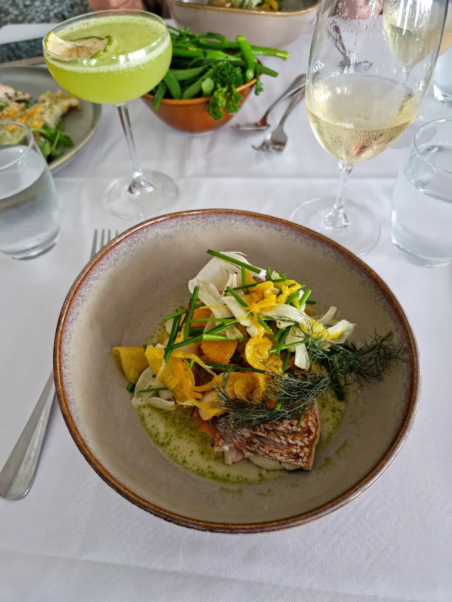 Snapper, Sealevel