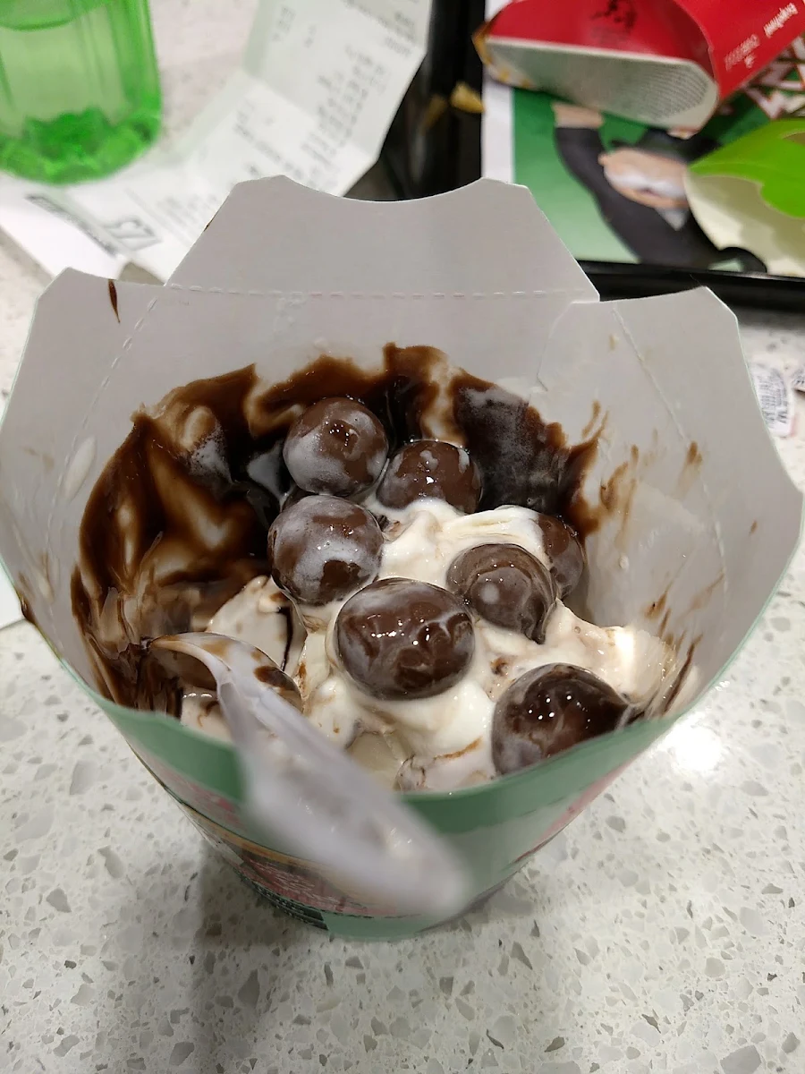 Chocolate Ice Cream Sundae with Extra Fudge