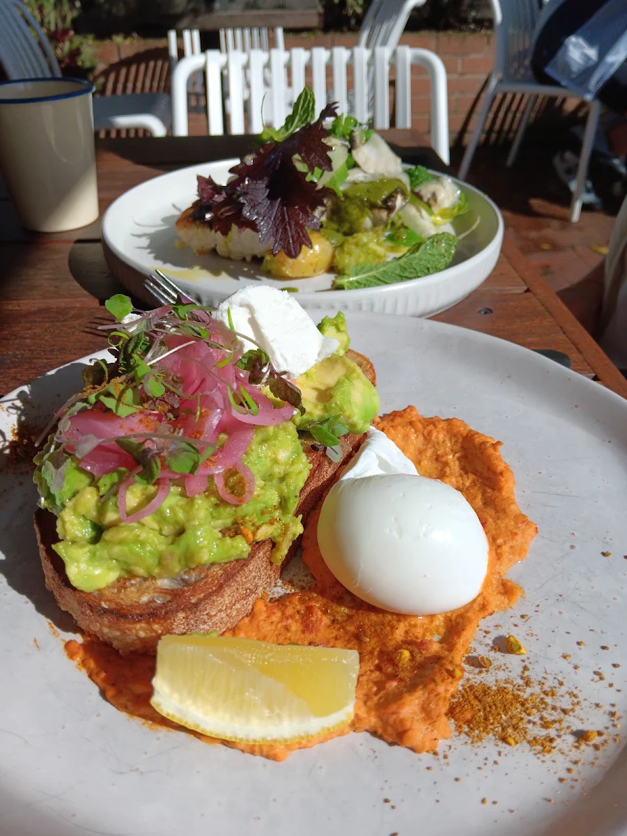 Smashed Avocado Toast