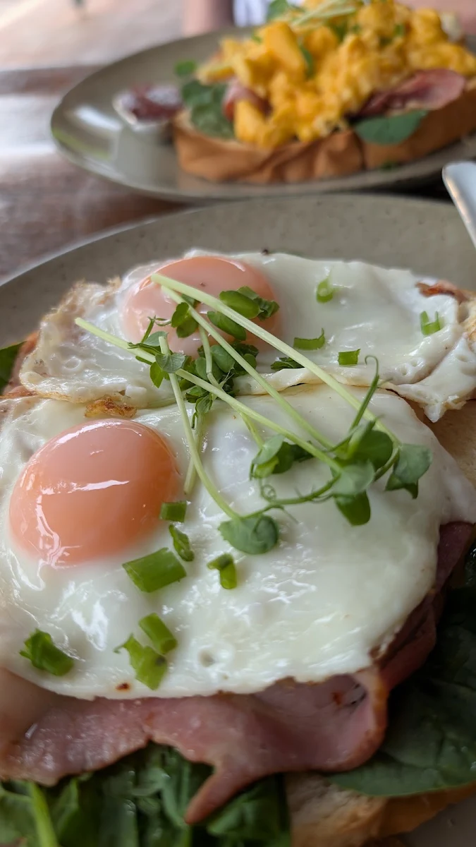 Fried Eggs