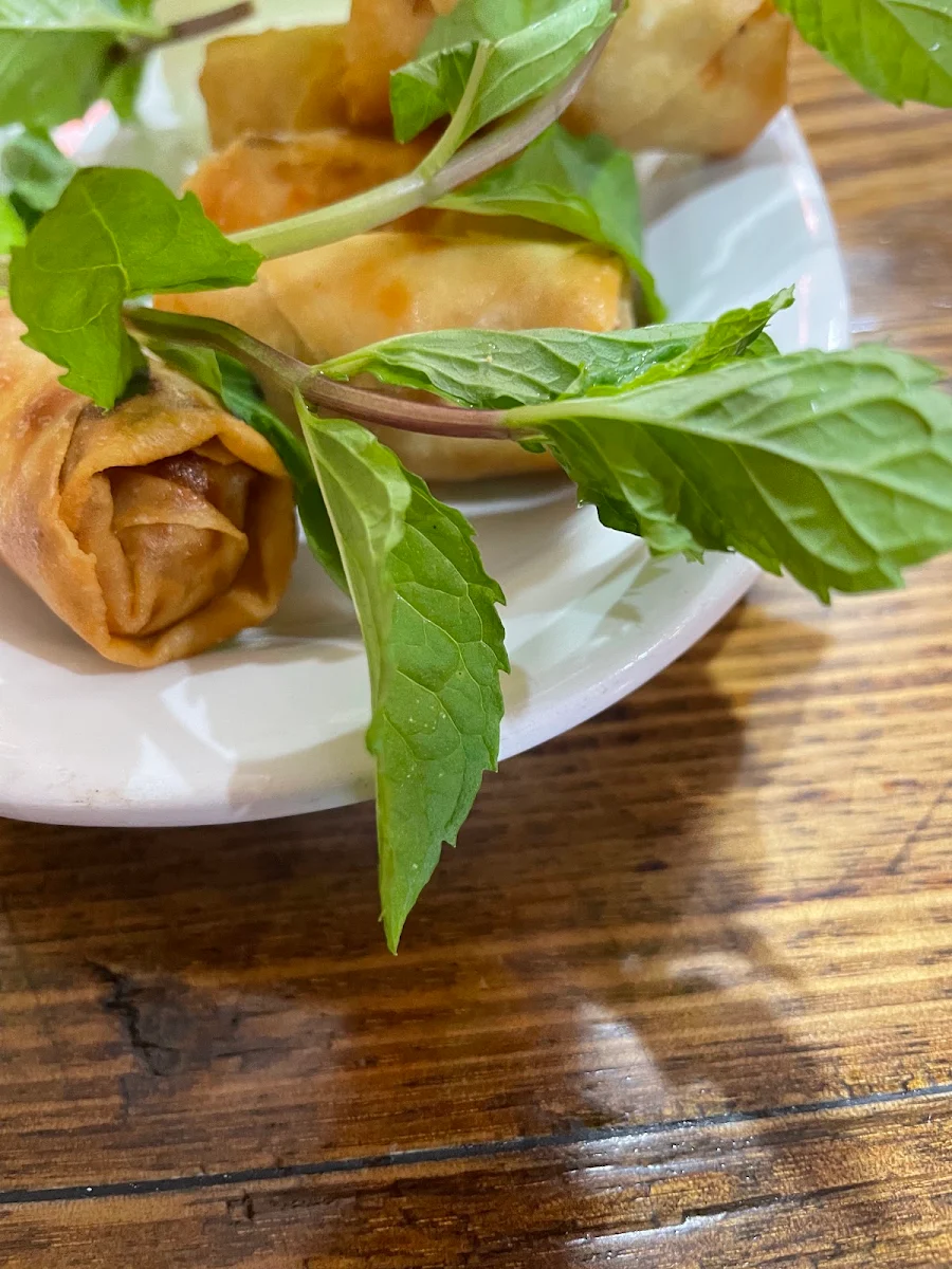 Vegetable Spring Rolls