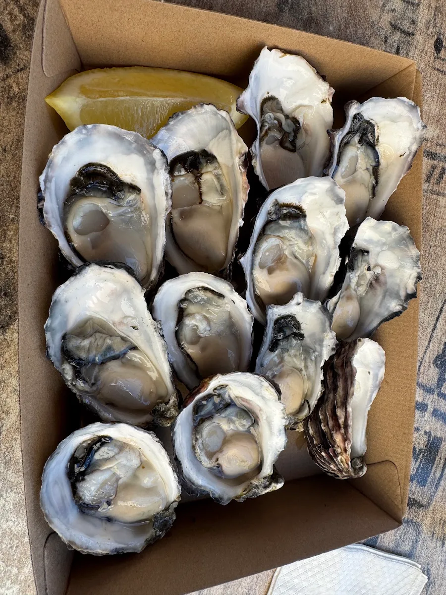 Raw Oysters