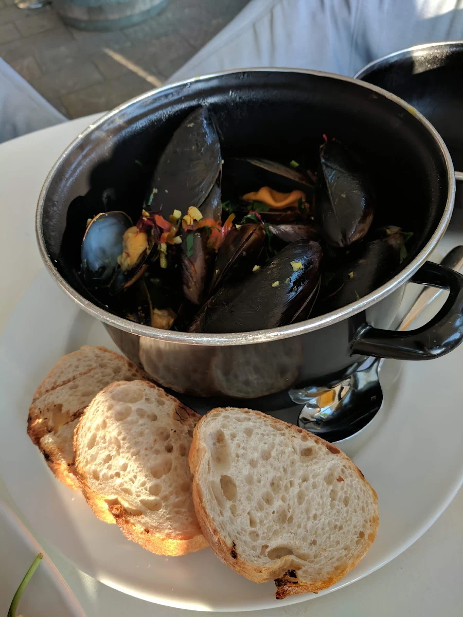 Black Mussels Saffron Stock
