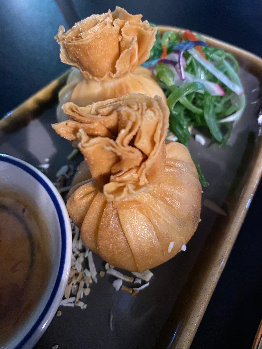 Vegetarian Dumplings VG