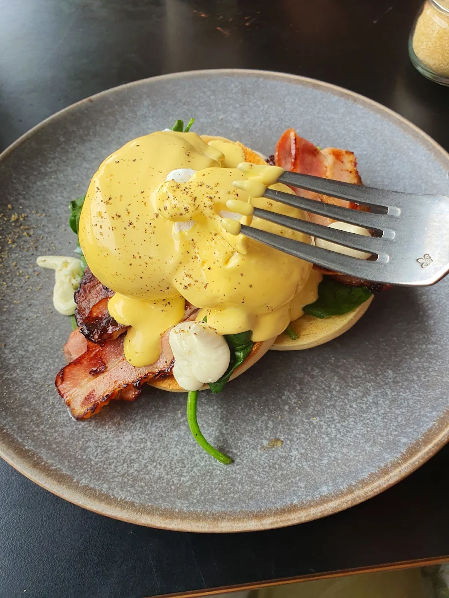 Bacon and Poached Eggs