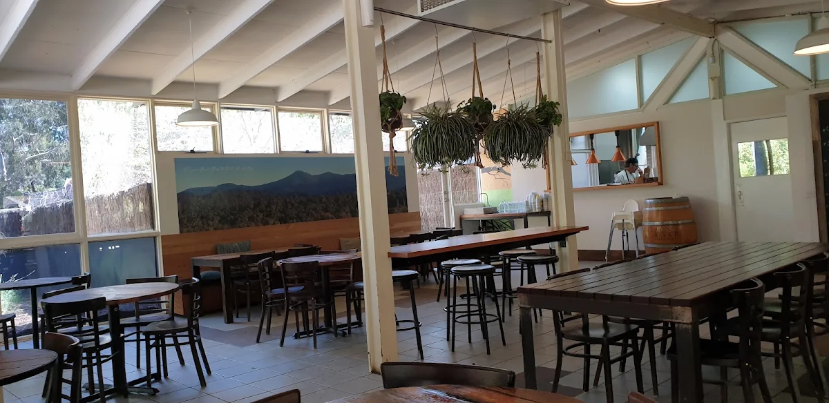 Vibe, Sanctuary Harvest Zoo Cafe
