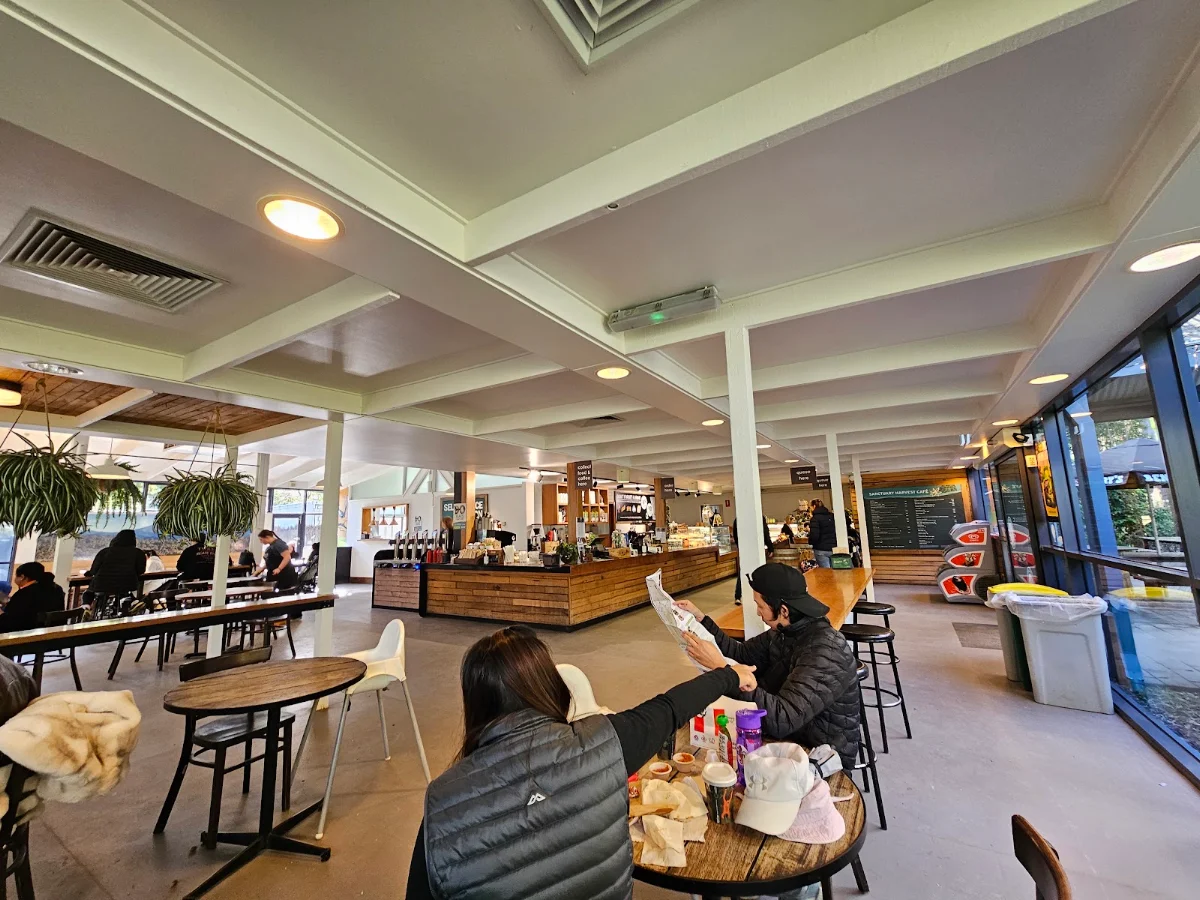 Vibe, Sanctuary Harvest Zoo Cafe